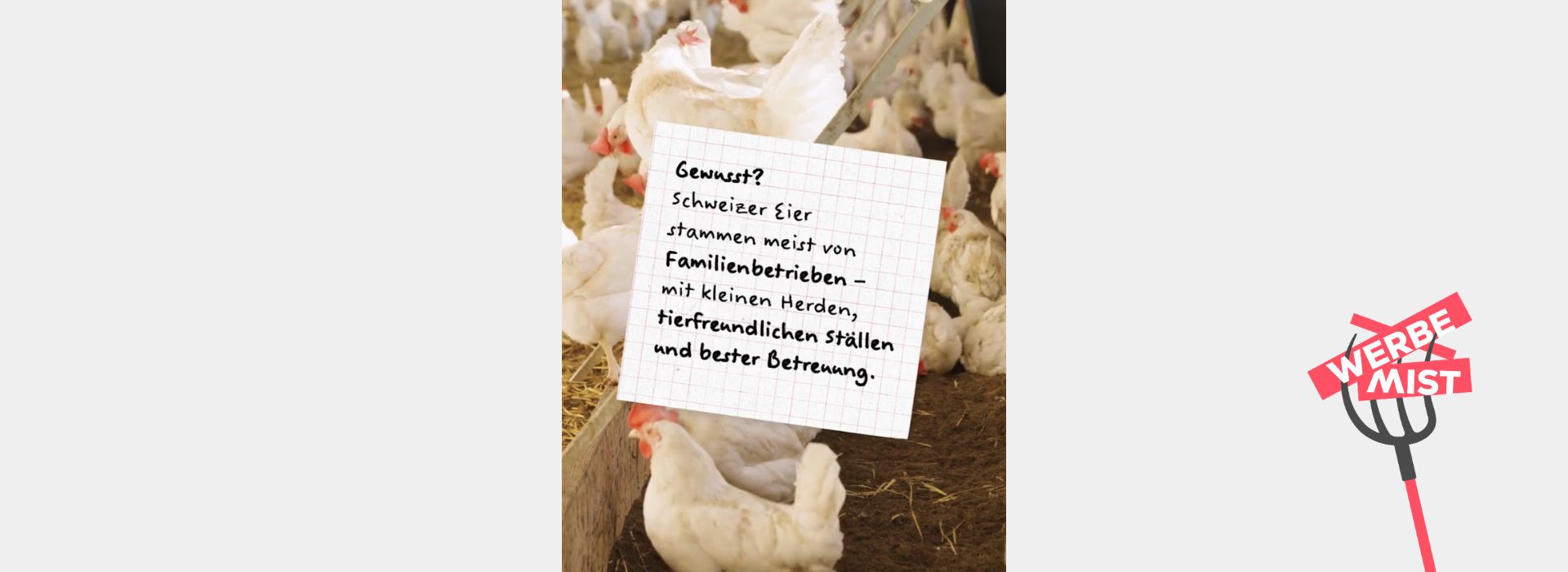 Werbung: