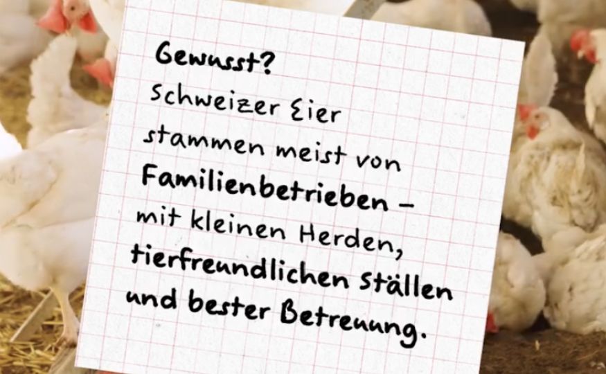 Erfolg: Lauterkeitskommission rügt Eier-Werbung von Suisse Garantie