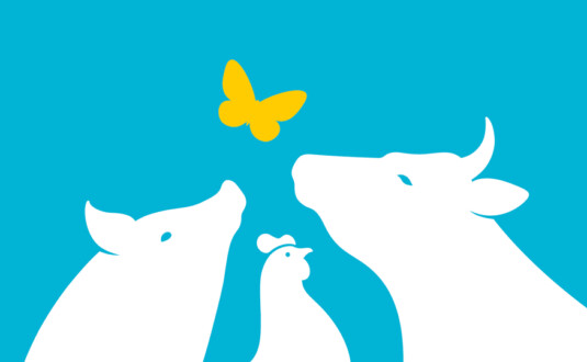 Auslauf für alle Tiere