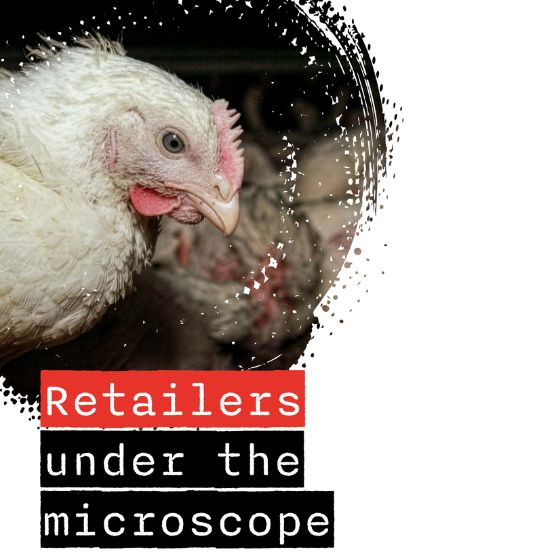 Retailers under the microscope