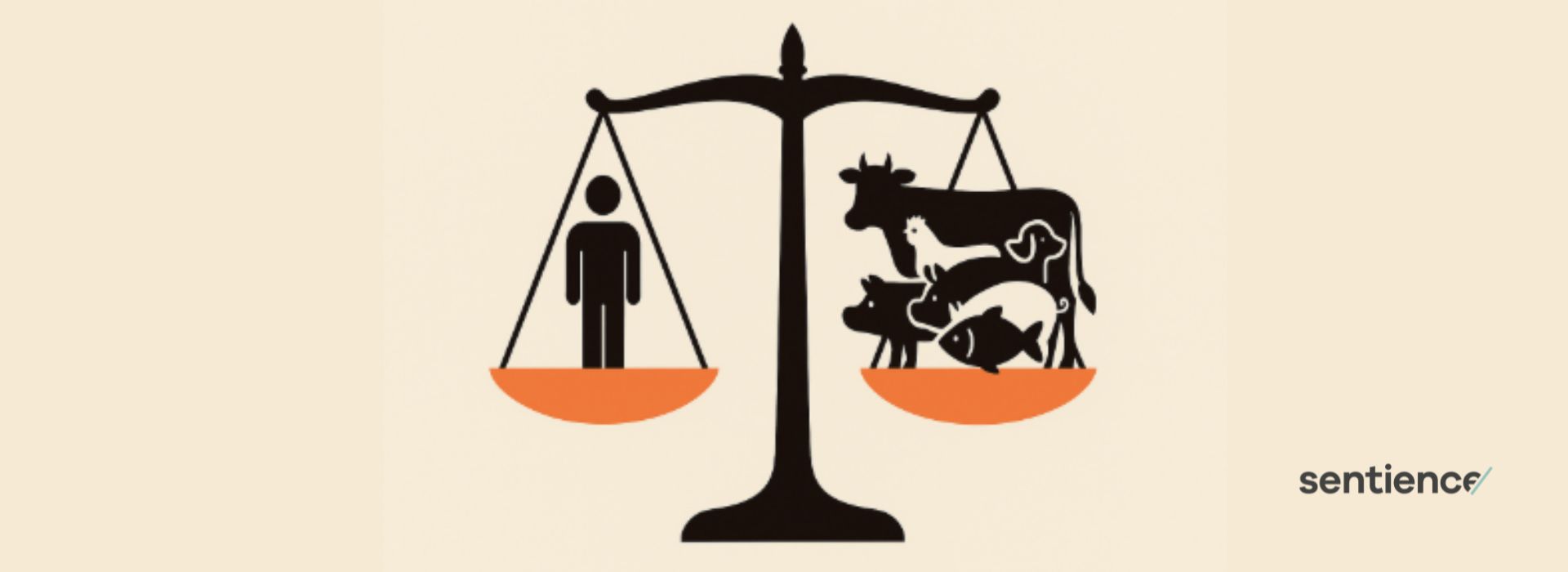 Multispecies justice