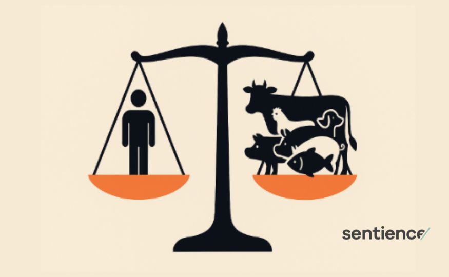 Why Politics Must Extend Beyond Our Own Species