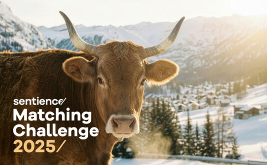 Im Dezember zählt jede Spende doppelt