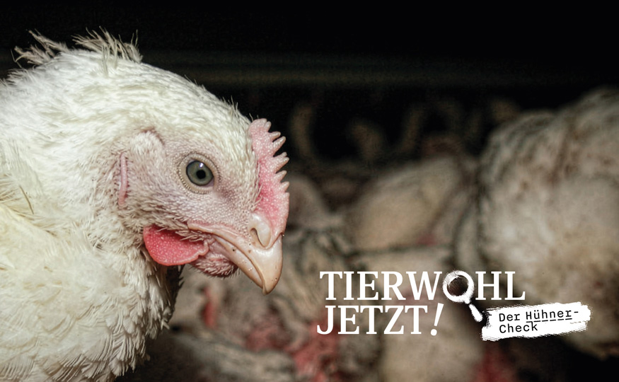 Wenn die Marktführerin führt verändern sich Millionen von Leben