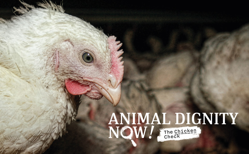 When the market leader leads, millions of lives change