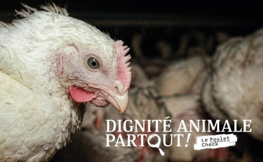 Quand le leader montre la voie, des millions de vies changent