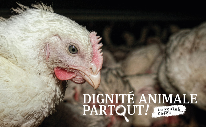 Quand le leader montre la voie, des millions de vies changent