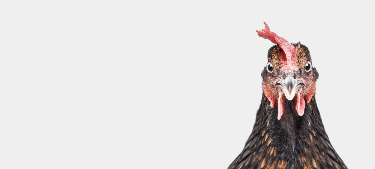 Mitarbeiter:in Philanthropische Partnerschaften (60 - 80%)