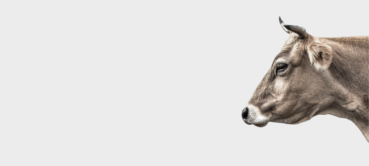 Social Media Praktikum (40-50 %)