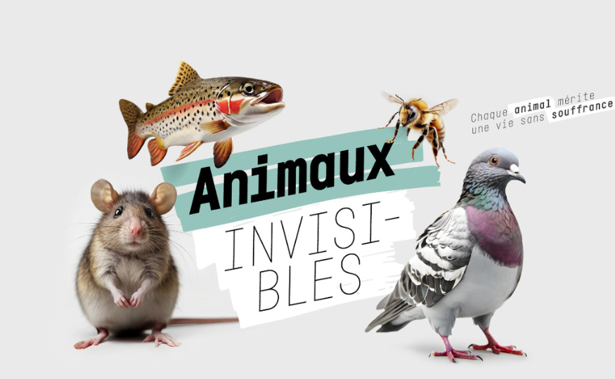 Animaux Invisibles