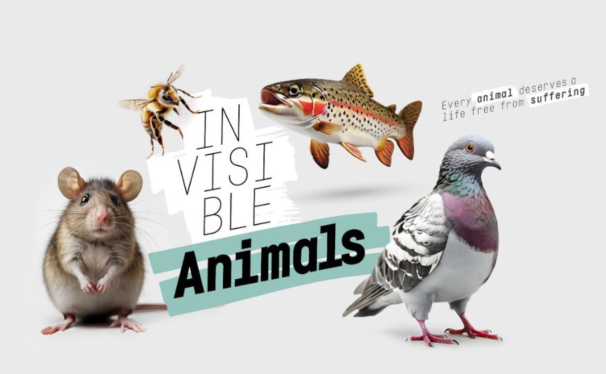The “invisible” animals need your help